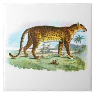 Carreau Illustration vintage des animaux léopards