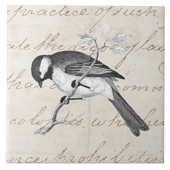 Carreau Illustration vintage d'oiseau de chanson - texte (Devant)