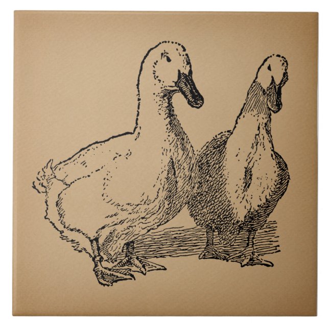Carreau Illustration vintage Duck Art Two Ducks (Devant)