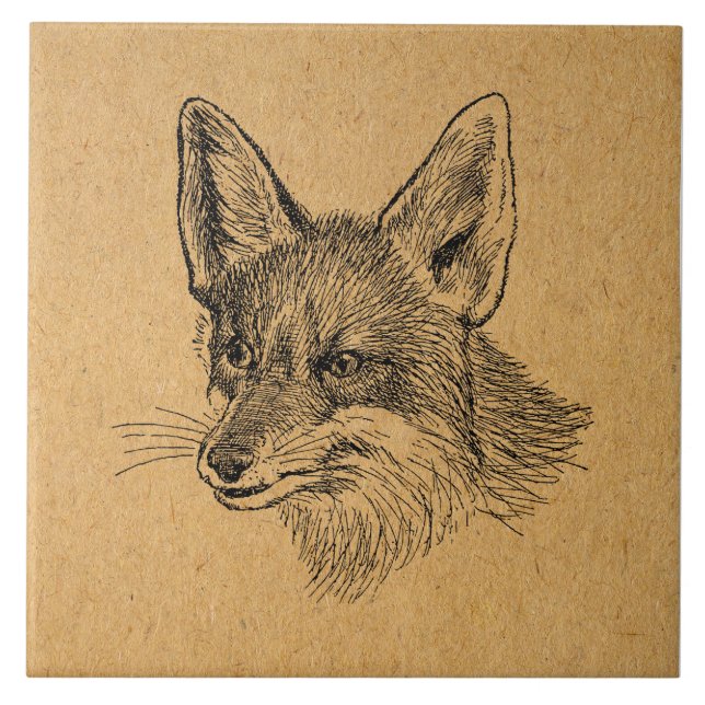 Carreau Illustration Vintage Fox Art animal antique Brown (Devant)