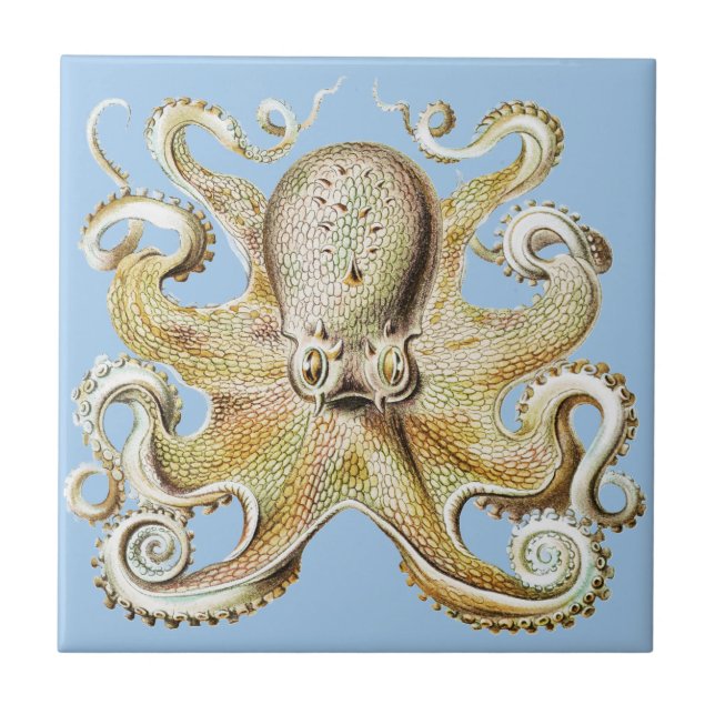 Carreau Illustration vintage Octopus Marine Life (Devant)