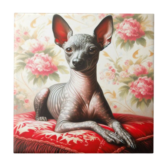 Carreau Illustration vintage Xoloitzcuintle (Devant)