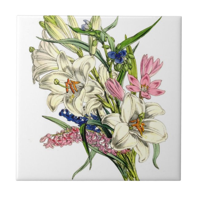 Carreau Illustrations des plantes vintages (Devant)