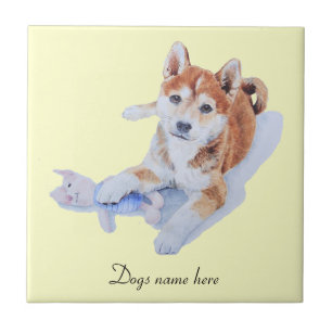 Carreau image de chiot mignon sheba inu et teddy