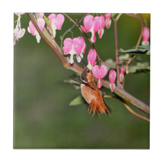 Carreau Image de colibri et de fleurs
