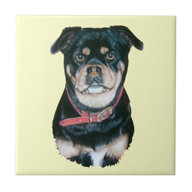 Carreau image de noir et de portrait bronzage de chien de (Devant)