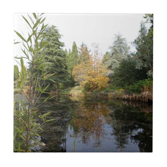 Carreau Image de scène de jardin relaxante, beaux arbres.. (Devant)