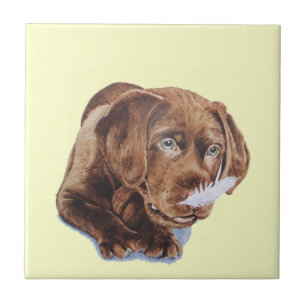 Carreau image drôle de chien de chiot brun chocolat de