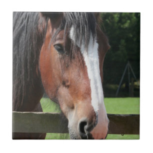 Carreau Image d'une tuile ou d'un trépied quarte de cheval
