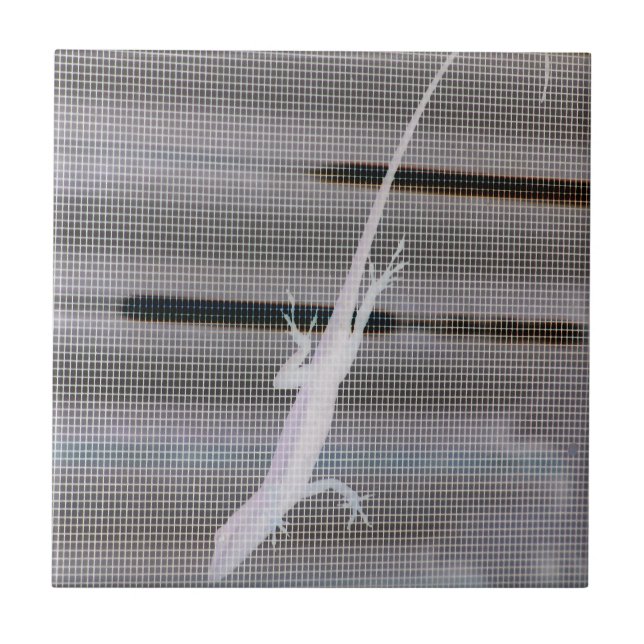 Carreau Image négative d'un lézard sur un écran de fenêtre (Devant)