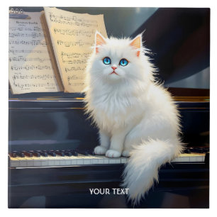 Carreau Imaginaire Belle Ragdoll Chat Sur Piano