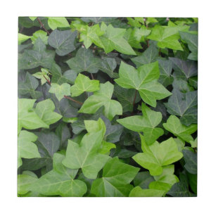 Carreau Impression botanique verte Ivy