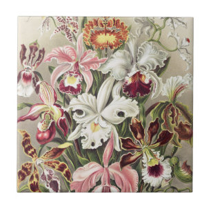 Carreau Impression botanique vintage d'orchidée par Ernst