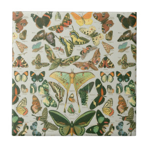Carreau Impression de motif de papillon de nuit vintage