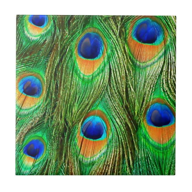 Carreau Impression de plumes de paon colorées (Devant)