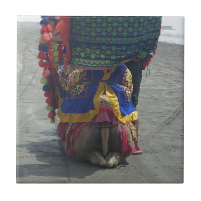 Carreau Imprimé/graphique en forme de chameau (Devant)