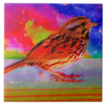 Imprimer l'art du rêve d'oiseaux cosmiques"