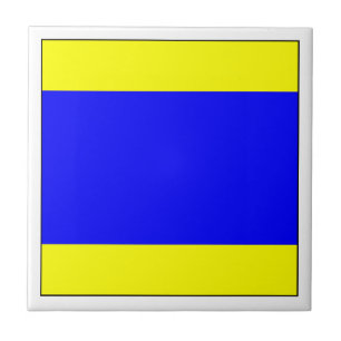 Carreau Indicateur ICS D