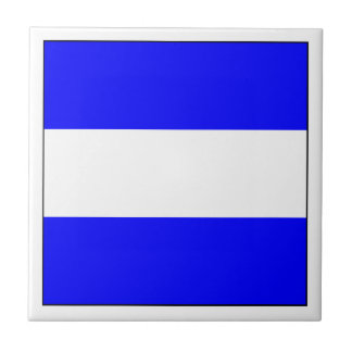 Carreau Indicateur ICS J