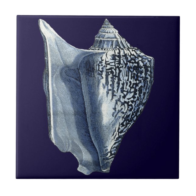 Carreau Indigo Shells I (Devant)