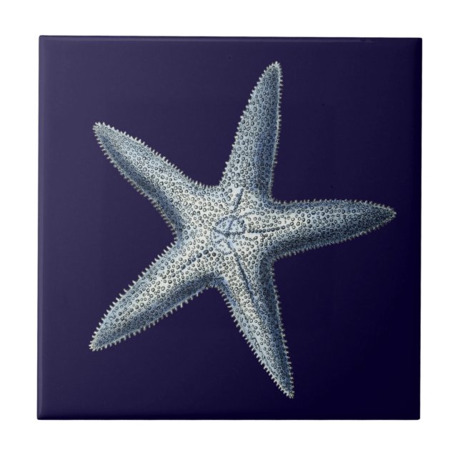 Carreau Indigo Shells IV (Devant)