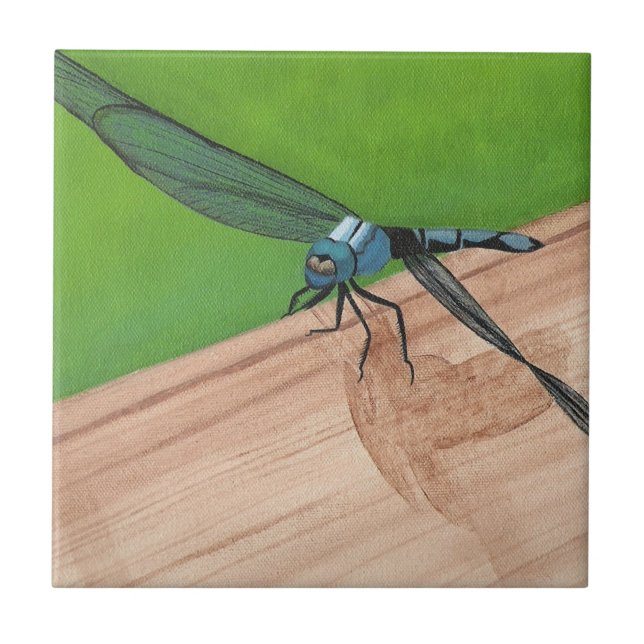 Carreau Insecte à libellules bleues sur un carrelage (Devant)