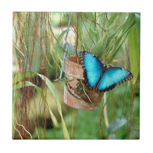 Carreau Inspirations de la nature Bright Blue Butterfly