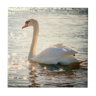 Carreau Inspirations de la nature Elegant Swan