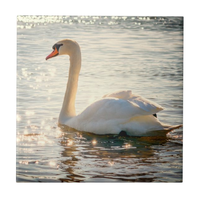 Carreau Inspirations de la nature Elegant Swan (Devant)