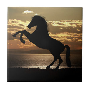 Carreau Inspirations Nature Horse Silhouette