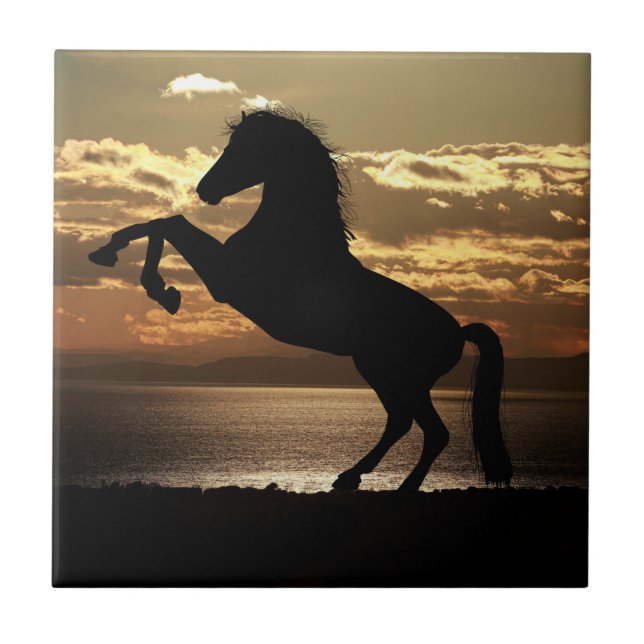 Carreau Inspirations Nature Horse Silhouette  (Devant)