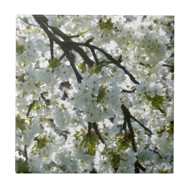 Carreau Inspirations naturelles Fleurs de cerisiers (Devant)