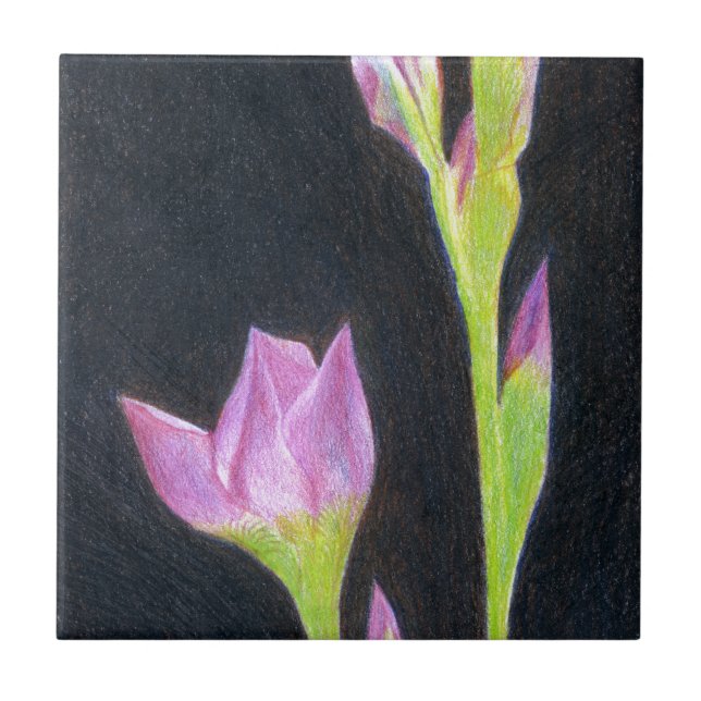 Carreau Iris (Devant)