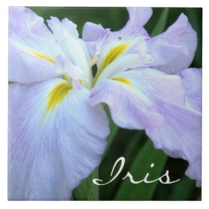 Carreau Iris couleur lavande (photo)