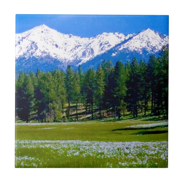 Carreau Iris Fields et Elk Horn Mountains! (Devant)