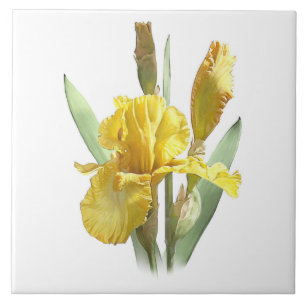 Carreau Iris Fleur Jaune Ensoleillé Art Botanique