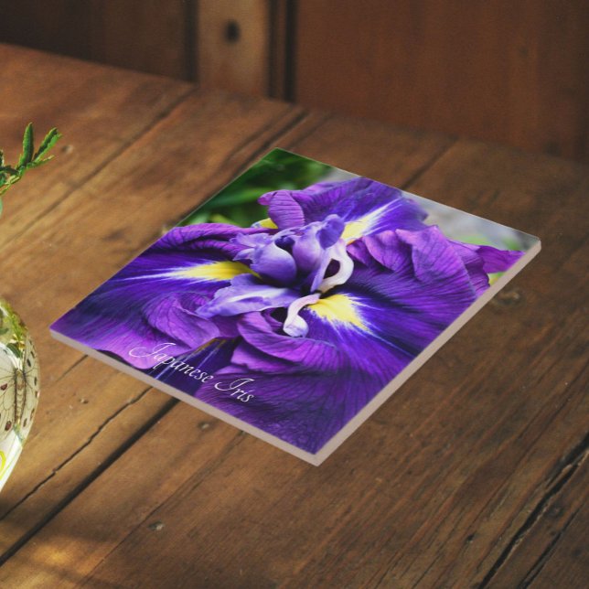 Carreau Iris Japonais Pourpre Fleur Floral (In Situ)