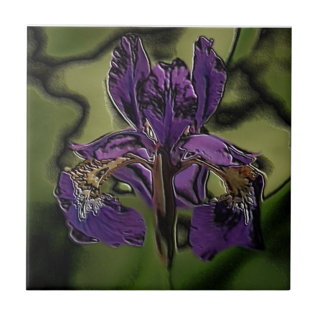 Carreau Iris pourpre (Devant)