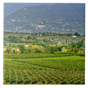 Carreau Italie, lac de Garde. Les rives du lac de Garde so