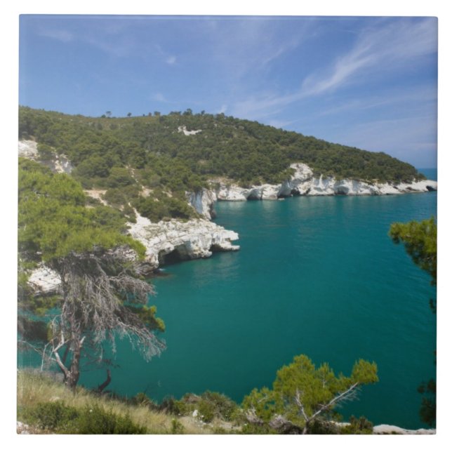 Carreau Italie, Pouilles, Promontorio del Gargano, Testa (Devant)