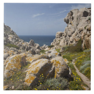 Carreau Italie, Sardaigne, Santa Teresa Gallura. Capo 2
