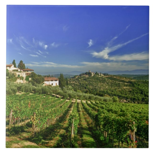 Carreau Italie, Toscane, Greve. Les vignobles de Castello (Devant)
