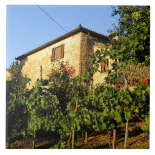 Carreau Italie, Toscane, Greve. Scènes de vin fin d'été