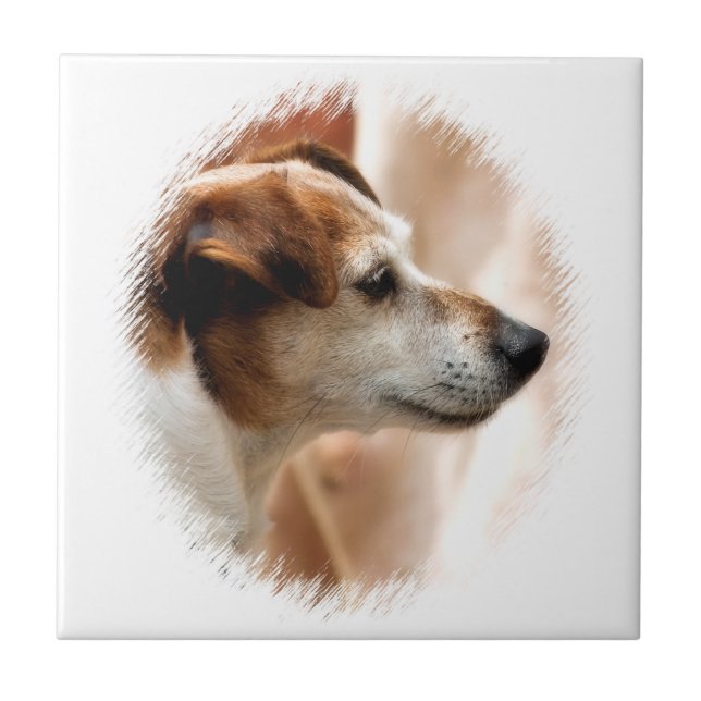 CARREAU JACK RUSSELL TERRIER CHIEN (Devant)