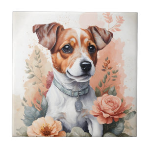 Carreau Jack Russell Terrier Puppy