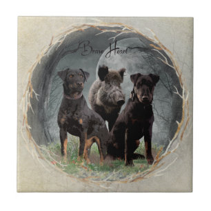 Carreau Jagdterrier, brave affiche de tapisserie cardiaque