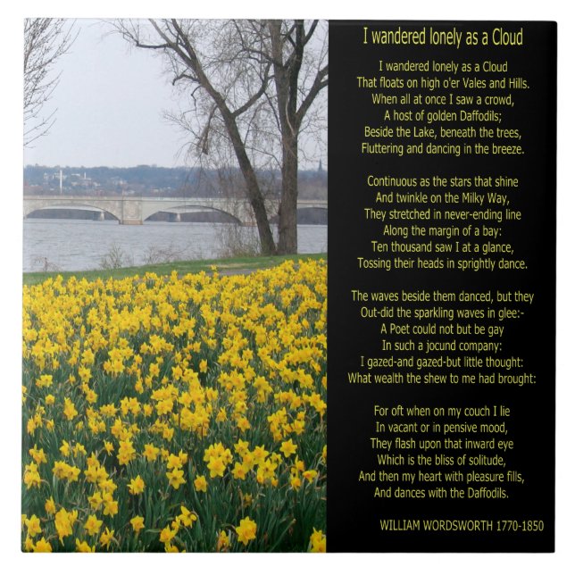 CARREAU J'AI ERRÉ SEUL COMME NUAGE (Devant)