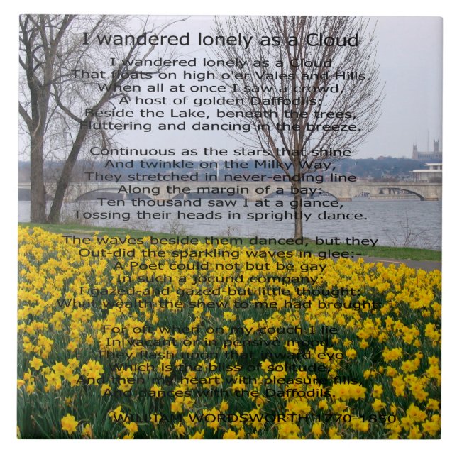 CARREAU J'AI ERRÉ SEUL COMME NUAGE (Devant)