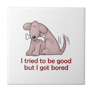 CARREAU J'AI ESSAYÉ D'ÊTRE BON