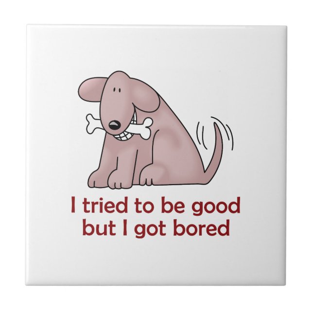 CARREAU J'AI ESSAYÉ D'ÊTRE BON (Devant)